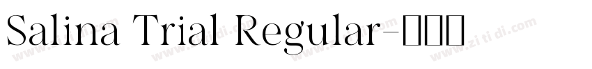 Salina Trial Regular字体转换